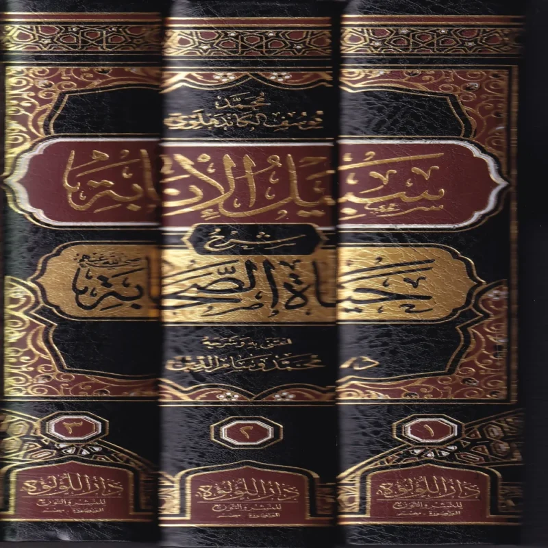 سبيل الانابة شرح حياة الصحابة
