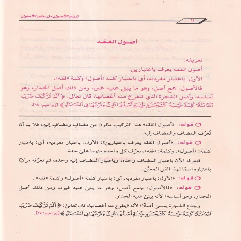 شرح الاصول من علم الاصول