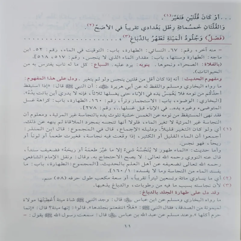 التذهيب في أدلة متن الغاية والتقريب المشهور ب متن أبي شجاع