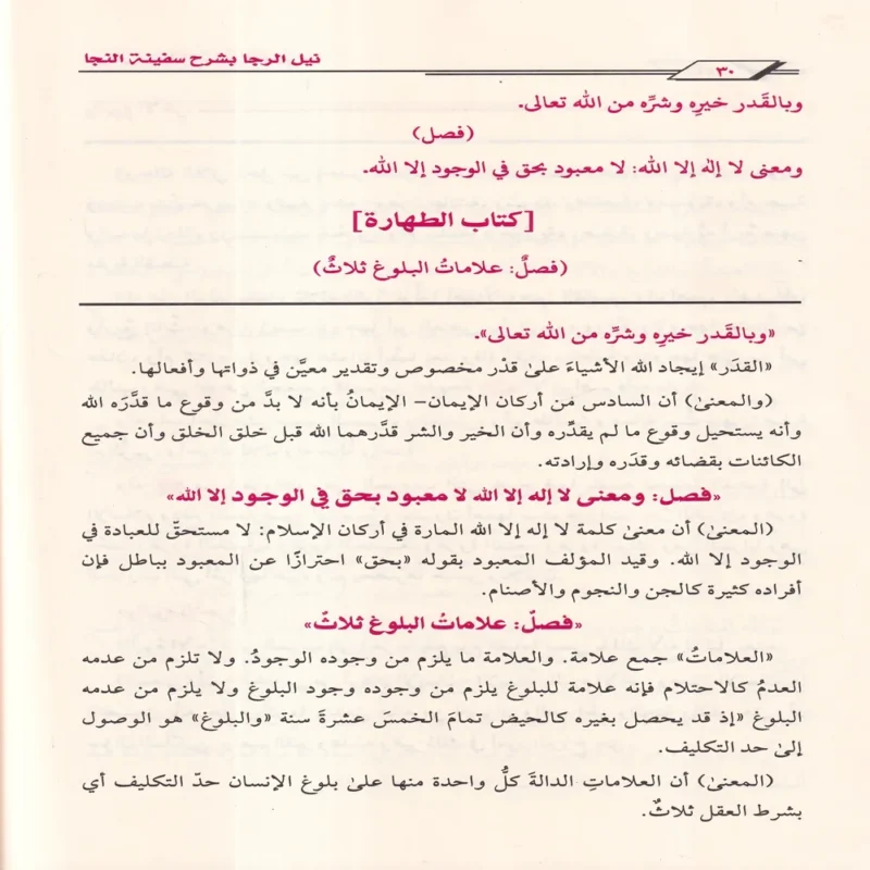 نيل الرجا بشرح سفينة النجا