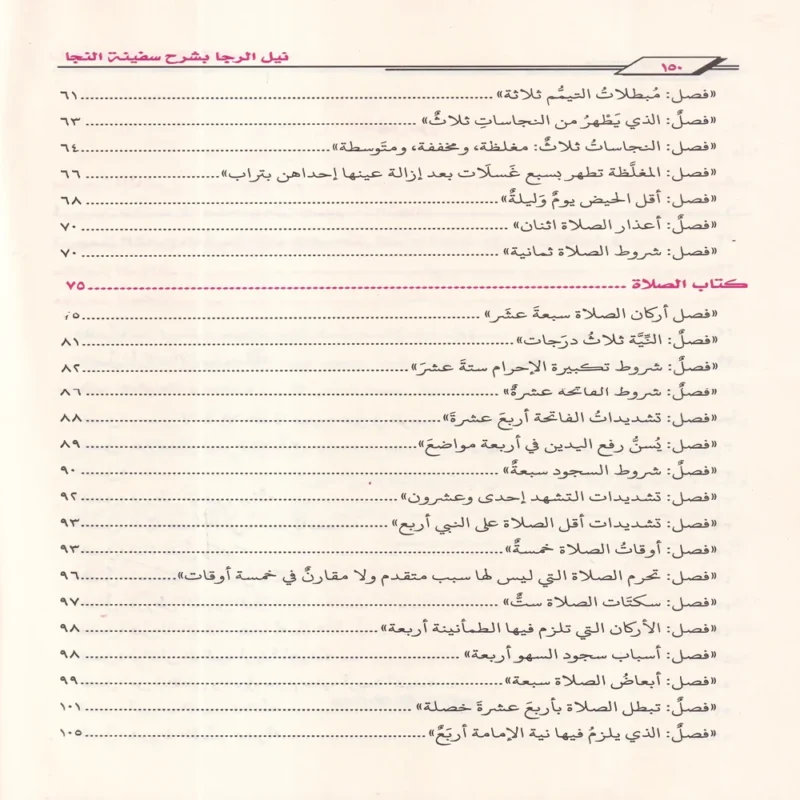 نيل الرجا بشرح سفينة النجا