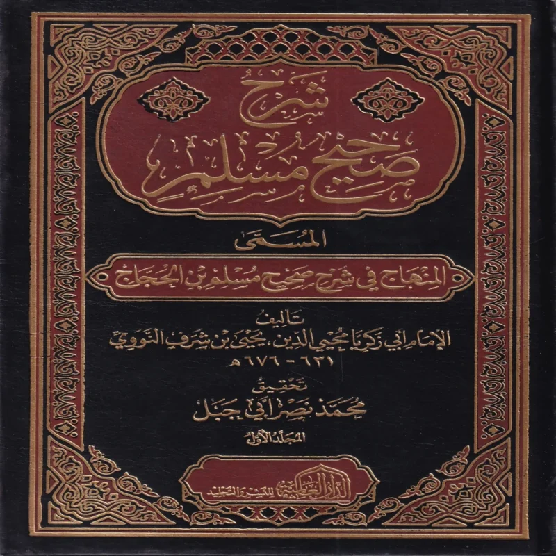 شرح صحيح مسلم