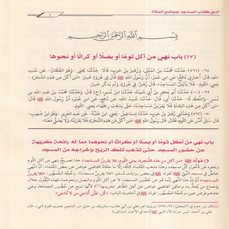 شرح صحيح مسلم