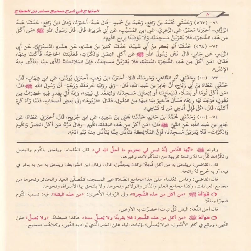 شرح صحيح مسلم
