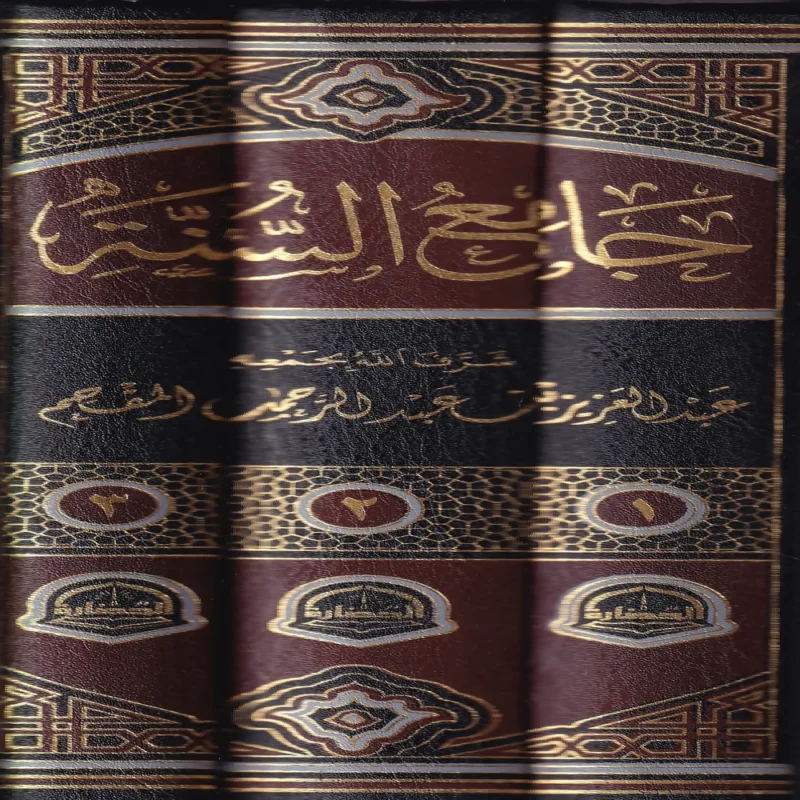 جامع السنة 3/1