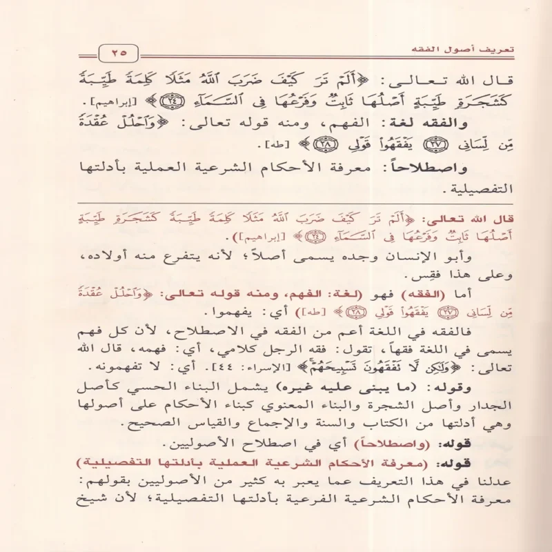 شرح الأصول من علم الأصول