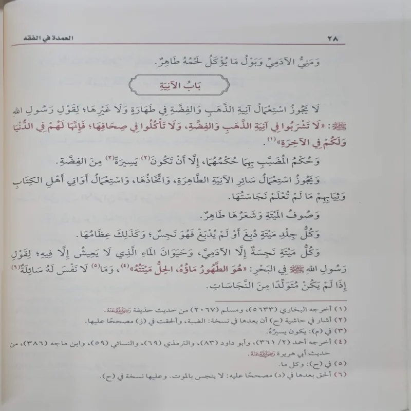 العمدة في الفقه على مذهب الإمام أبي عبدالله أحمد بن محمد حنبل الشيباني