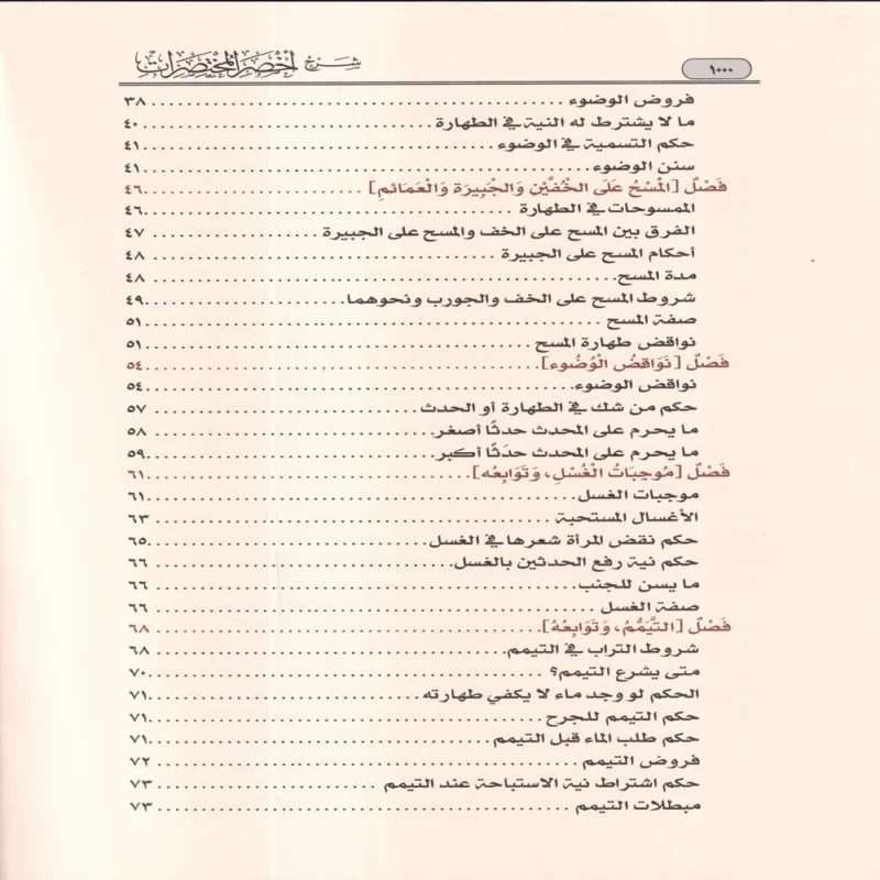 شرح أخصر المختصرات