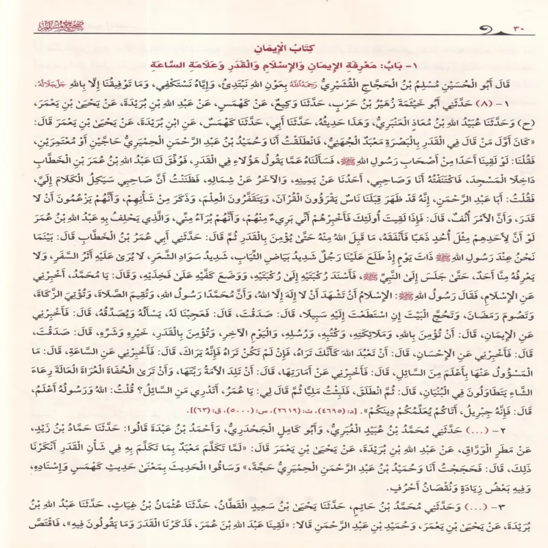 صحيح مسلم