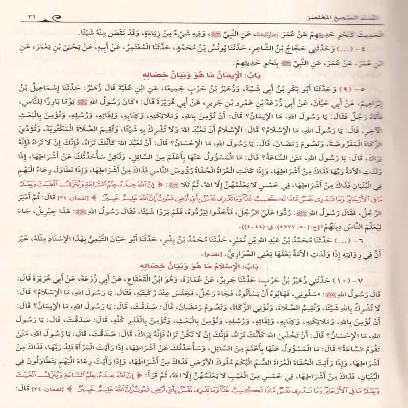 صحيح مسلم