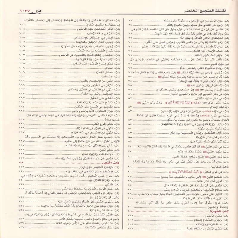 صحيح مسلم