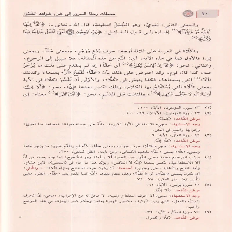 شرح شذور الذهب في معرفة كلام العرب وبذيله محطات رحلة السرور