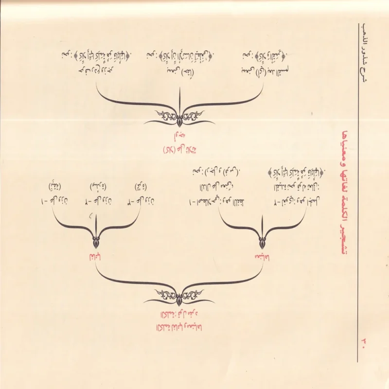 100297-2 شرح شذور الذهب في معرفة كلام العرب