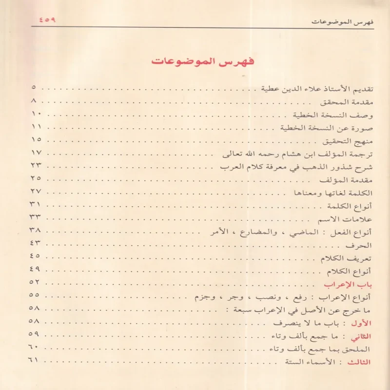 100297-3 شرح شذور الذهب في معرفة كلام العرب