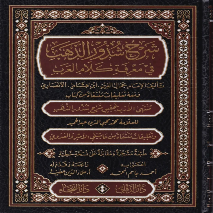 شرح شذور الذهب في معرفة كلام العرب