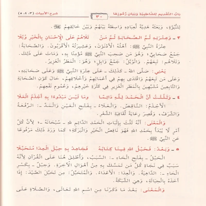 الوافي في شرح الشاطبية