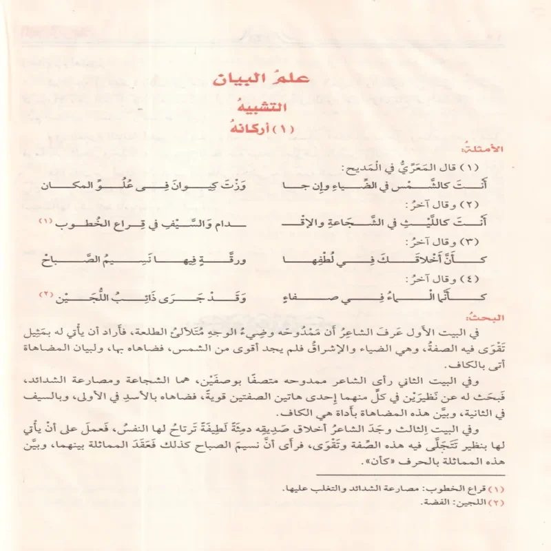 البلاغة الواضحة البيان والمعاني والبديع ويليه دليل البلاغة